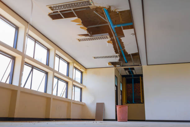 Best Water damage restoration near me  in New River, AZ