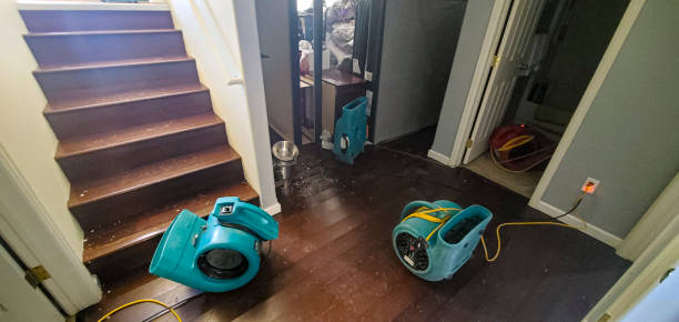 Best Carpet water damage restoration  in New River, AZ