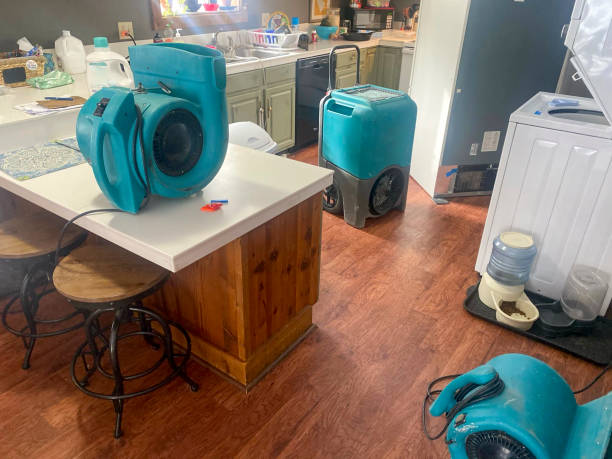 Best Water damage repair service  in New River, AZ