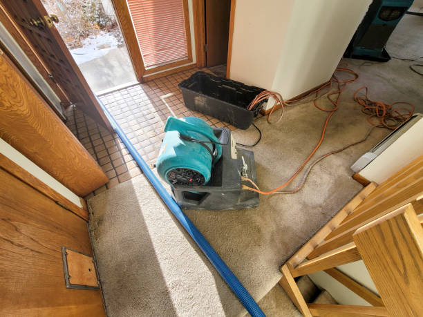 Best Water damage restoration services  in New River, AZ