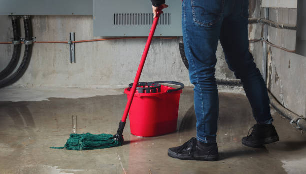 Best Flood restoration services  in New River, AZ
