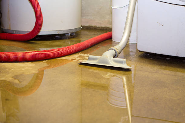 Best Flood restoration services  in New River, AZ
