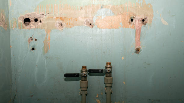 Best Residential water damage restoration  in New River, AZ