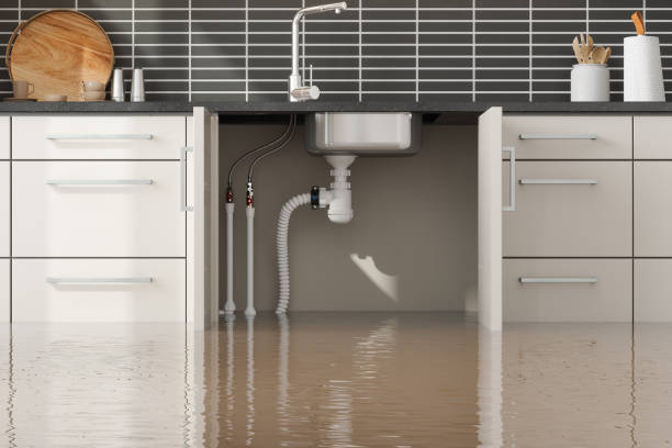 Best Sewage cleanup and water damage restoration  in New River, AZ