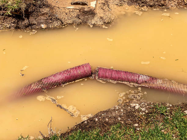 Trusted AZ Water damage restoration Experts