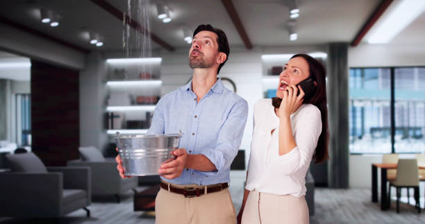 Best Local water damage restoration  in New River, AZ