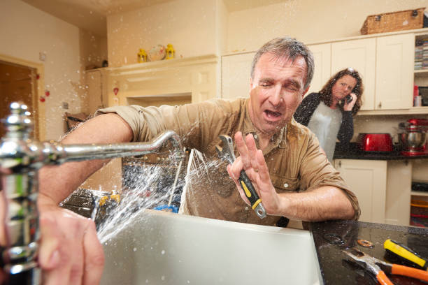 Best Professional water damage repair  in New River, AZ